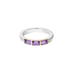 Shop Amethyst Stacking Ring Two-Tone