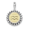 Flash Sale Aquarius Zodiac Charm Two-Tone