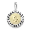 Shop Capricorn Zodiac Charm Two-Tone