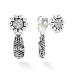 Fashion Diamond Drop Earrings Silver