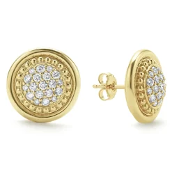 Hot 18K Gold Diamond Stud Earrings Stud Earrings