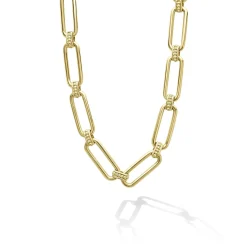 Hot 18K Gold Petite Link Necklace Gold