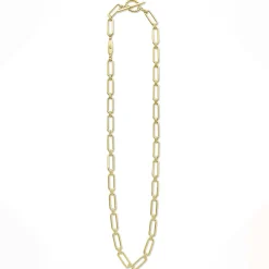 Hot 18K Gold Petite Link Necklace Gold