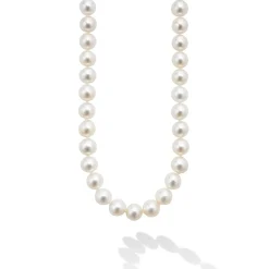 Outlet Large Pearl Necklace Pearl