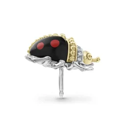 Store Onyx Beetle Diamond Pin Diamonds