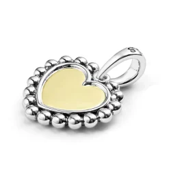 Best Two-Tone Heart Charm Two-Tone