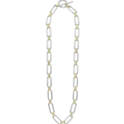 Outlet Two-Tone Link Necklace Chains