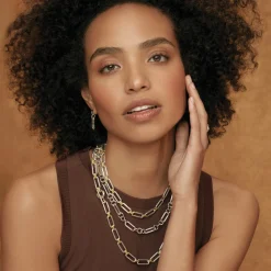 New Two-Tone Link Necklace Two-Tone