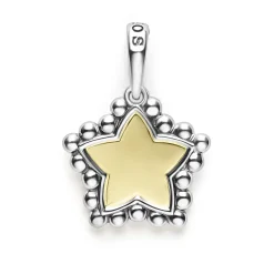 Shop Two-Tone Star Charm Two-Tone