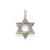 Shop Two-Tone Star Of David Amulet Amulets